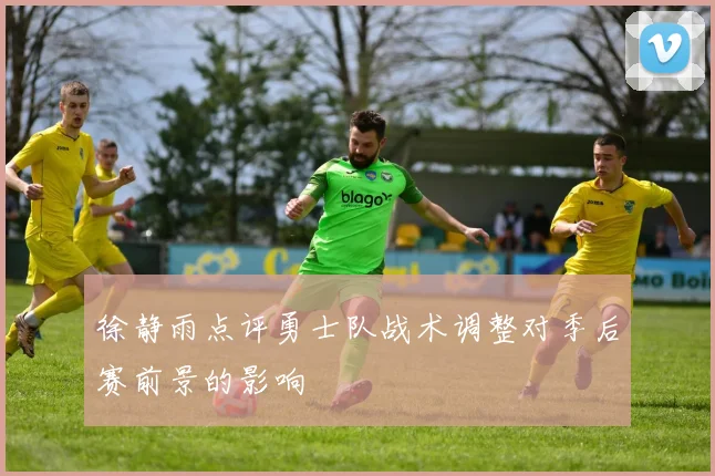 徐静雨点评勇士队战术调整对季后赛前景的影响