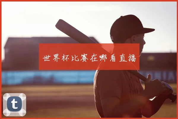 世界杯比赛在哪看直播