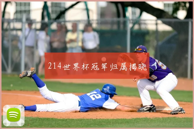 214世界杯冠军归属揭晓
