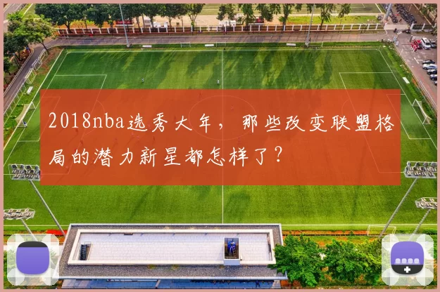 2018nba选秀大年，那些改变联盟格局的潜力新星都怎样了？