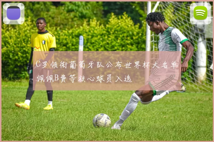 C罗领衔葡萄牙队公布世界杯大名单佩佩B费等核心球员入选